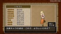 Dragon Quest X Captura Wii 04.jpg