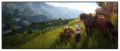 Blackdesert-landscape.png