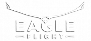 Eagle flight logo.png