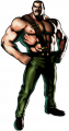 Haggar.png