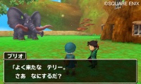Pantalla 05 campo Dragon Quest Monsters Terry's Wonderland 3D N3DS.jpg