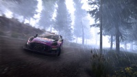 WRC11 img05.jpg