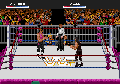 WWF RAW 32X 000.png