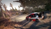 WRC8 img10.jpg