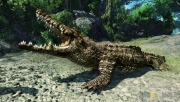 Risen 2 Dark Waters Imagen (23).jpg