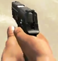 P250.png