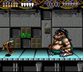 Battletoads and Double Dragon (Super Nintendo) juego real 002.jpg