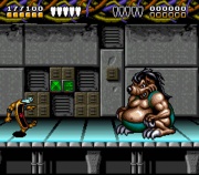 Battletoads and Double Dragon (Super Nintendo) juego real 002.jpg
