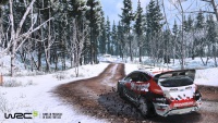 WRC5 JulioImg04.jpg