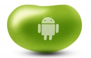 Android Jellybean logo.jpeg