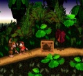 Donkey Kong Country (Super Nintendo) juego real 002.jpg