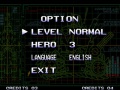 Metal Slug 010 Options.jpg