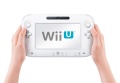 Mando de Wii U 07.jpg