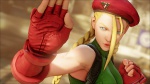 Street Fighter V Scan 31.jpg