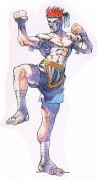 Adon 002 (Street Fighter 1).jpg