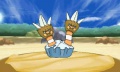 Binacle combate pokemon x y.jpg