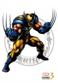 Marvel vs Capcom 3 Wolverine.jpg