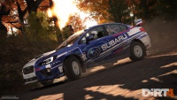 DiRT4img07.jpg