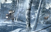 Assassin's Creed III img 2.jpg