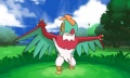 Hawlucha combate pokemon x y.jpg