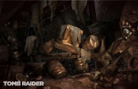 Tomb Raider (2013) 011.jpg