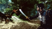 Risen 2 Dark Waters Imagen (06).jpg