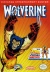 Wolverine (Caratula NES).jpg