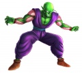 Piccolo.jpg