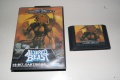 Altered Beast pal catalogo mega drive frontal.jpg