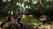 Risen 2 Dark Waters Imagen (45).jpg