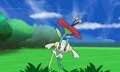 Floette combate pokemon x y.jpg