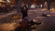 State Of Decay swing 02.jpg