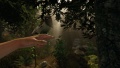 Imagen05 The Forest - Videojuego de PC.jpg