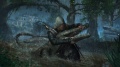 Assassin's Creed IV Black Flag imagen 28.jpg