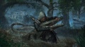 Assassin's Creed IV Black Flag imagen 28.jpg