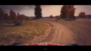 Dirt 3 in-game8.jpg