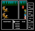 Final Fantasy I NES.png