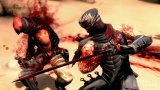 Ninja Gaiden 3 Imagen (31).jpg