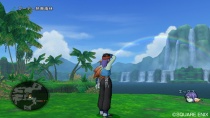 Dragon Quest X Captura Wii 15.jpg