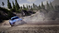 WRC10 img05.jpg