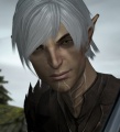 Dragon Age 2 Fenris.jpg