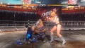 Dead or Alive 5 Ultimate - Imagen 11.jpg