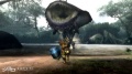 Monster Hunter 3 Tri 14.jpg