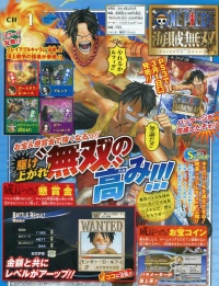 One Piece Kaizoku Musou Scan 019.jpg