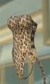 Bañador "Leopard" de Lisa en Dead or Alive Xtreme Beach Volleyball.jpg