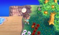 Animal Crossing Jump Out 010.jpg