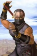 Ryu Hayabusa (Dead or Alive Ultimate).jpg