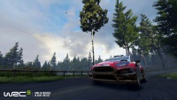 WRC5 JulioImg01.jpg