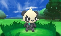 Pantalla acción Pancham 01 juego Pokémon X Y Nintendo 3DS.jpg