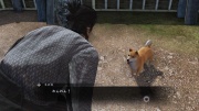 Ryu Ga Gotoku Ishin - Another Life - Pets (2).jpg